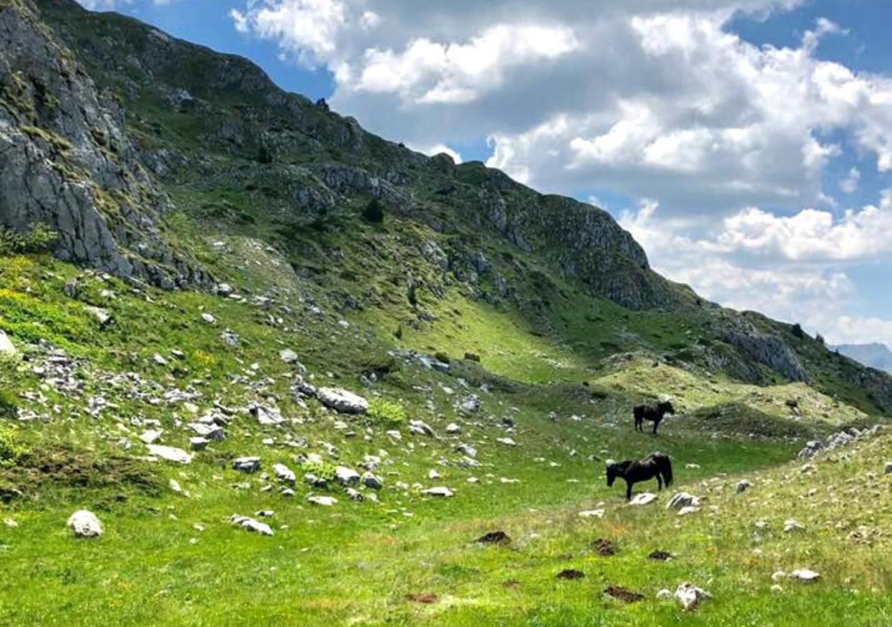 Katun Kuline Lejlighed Kolašin Eksteriør billede