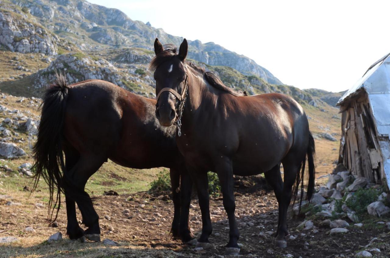 Katun Kuline Lejlighed Kolašin Eksteriør billede