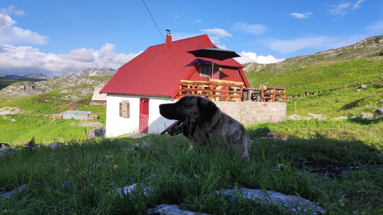 Katun Kuline Lejlighed Kolašin Eksteriør billede